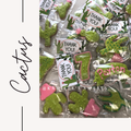 Cactus Collection Sugar Cookies